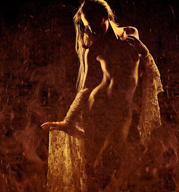 I was accepted to the Transformations Exhibition