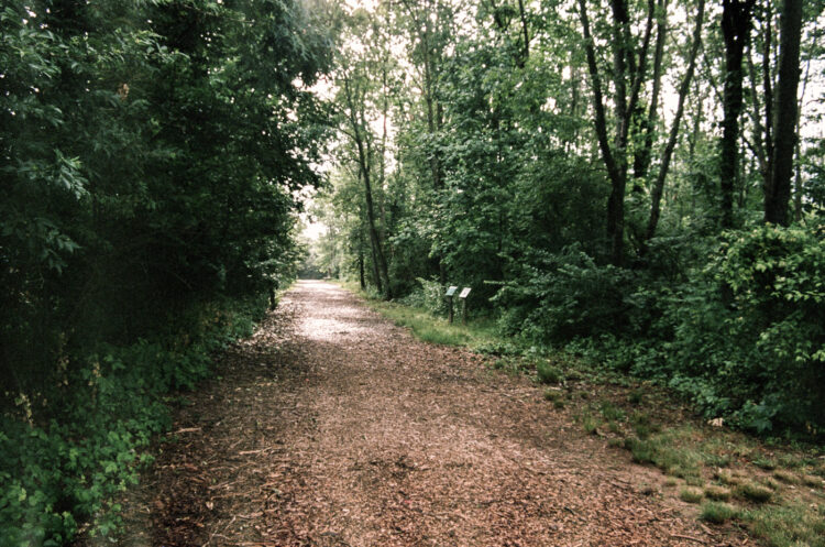 A path in Souderton, PA