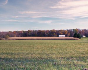 Photo of a field in Pipersville, PA